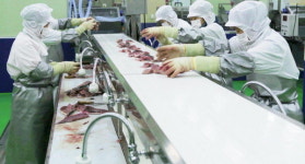 초사권역수산물센터 | 수산물 손질서 포장까지 하루 100t 가능