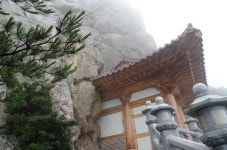 어루만지는 솔향·계곡물 소리…비우러 가서 채워 돌아왔네