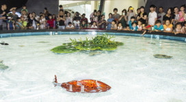 자유롭게 헤엄치는 로봇물고기