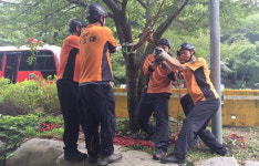 부산 기장소방서, 2015년도 하계 수난구조훈련 실시