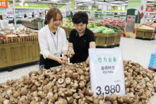 돼지고기만큼 쫄깃한 송화버섯