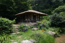 茶聖 초의선사 따라 茶禪여행 <상> 해남 - 땅 끝에서 피어난 차문화