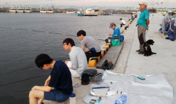 [조황] 뜸한 입질…암남공원서 잔씨알 갈치 잡혀