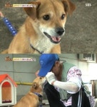 동물농장 화재터 맴도는 개 똘이, 3개월 만에 만난 주인 아저씨와 감동의 재회