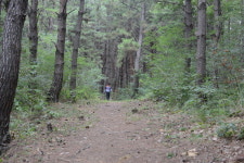 근교산&그너머 <938> 경북 영덕 철암산