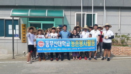 동부산대학교 사회봉사단, 추계 농촌봉사활동 실시