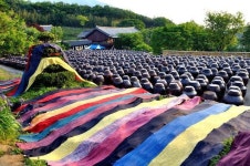 통도사 서운암 야생화 연중 관광 자원화