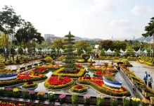 평화공원에 날리는 국화꽃향기