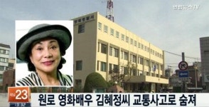 원로배우 김혜정씨, 횡단보도 사고로 숨져...최원석 동아그룹 전 회장과 결혼.파경