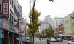 어린이집 주변 정화구역 쏙 빠져 코앞 성인용품점 단속도 못해