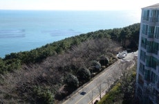 달맞이고개 환경보존-관광활성화 놓고 갈등