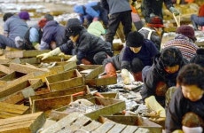 [포토에세이] 공동어시장 아지매들