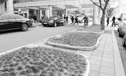 시청 후문 시위방지용 화단 일부 철거