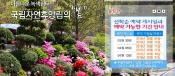 국립자연휴양림 오늘(30일) 선착순 예약...NO SHOW 고객 제재 강화