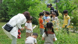 부산 다행복학교 이야기 <5> 달산유치원 정명숙 교사