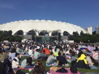 [현장 톡·톡] 돗자리 페스티벌