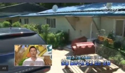 동물농장, 최여진 강아지공장이 무슨 인공수정이냐. 학대지