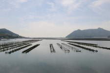 근교산&그너머 <975> 가덕도 응봉산