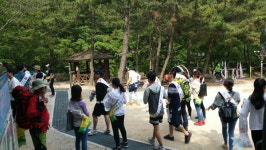 이비스 앰배서더 부산 해운대 호텔, 2016년 사회공헌 그린 캠페인 활동