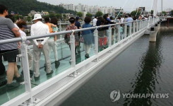 길이 156m 유리바닥, 물 위 걷는 듯…춘천 소양강 스카이워크 개장