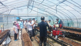 딸기하우스 작업의 혁신