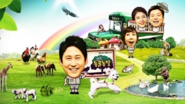 동물농장 14일 예고-밍키네 하우스/새끼침팬지 홀로서기/뽀글이 고양이 공장