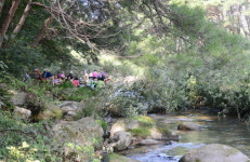 근교산&그너머 <987> 함양 선비길