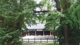 한시 기행 <10> 서울 성균관