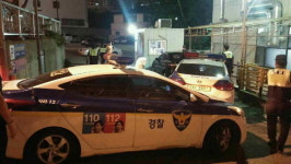 부산 멧돼지 출몰...실탄 2발 쏘고도 놓쳐