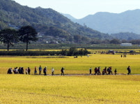 걷고 싶은 길 <8> 하동 박경리 토지길