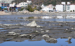 쓰레기로 뒤덮인 가야 허왕후 신행길