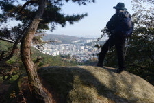 근교산&그너머 <1003> 울산 마골산~동축산