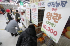 계란값 폭등...수입 계란 해결책 될까