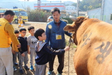 힐링 으뜸촌 <4> 화포천 농촌체험휴양마을