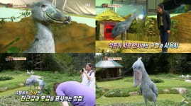슈빌, 사람만한 새가 있다? 과거 이준 발언 화제