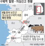 정읍도 구제역 의심신고…전국 소·돼지 이동중지