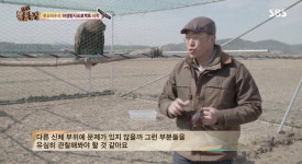 흰꼬리수리 야생성 회복 참여한 맹금류 재활치료사 박상현은 누구?