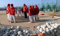 야구장 사용료 4배 올리자…동호인 마!