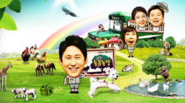 동물농장 7일 예고-할머니와 오봉이/해나와 양이/포항 만삭 백구