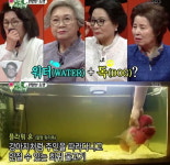 워터독이란? 강아지처럼 주인 따라다니는 물고기