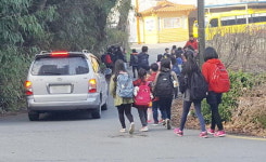 웅상초등학교, 등·하교 때마다 위험천만