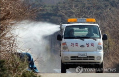 AI 악몽 계속되나? 제주서 2개월만에 의심사례 발생 농식품부 긴급 회의