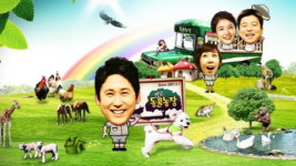 동물농장 11일 예고-라쿤과 웰시의 먹방대결/가출 공작 컴백홈/담벼락 안 새끼 냥이