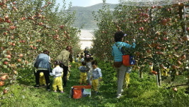 힐링 으뜸촌 <21> 양산 선리배내골 체험마을