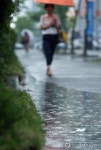 [태풍 난마돌]부산 통영 거제 남해 호우경보 시간당 30mm '물폭탄' 주의보