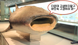[부산스탑]금정산에서 여름나기…금강케이블카부터 부산해양자연사박물관