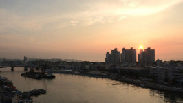 ‘다큐3일’ 여름, 바다의 선물- 포항 죽도어시장의 72시간