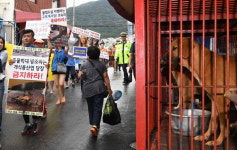 “동물 학대 구포개시장 당장 폐쇄하라”