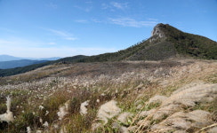 바람에 일렁이는 황매산 억새 물결
