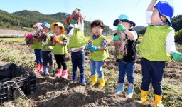 “친환경 고구마 보세요”